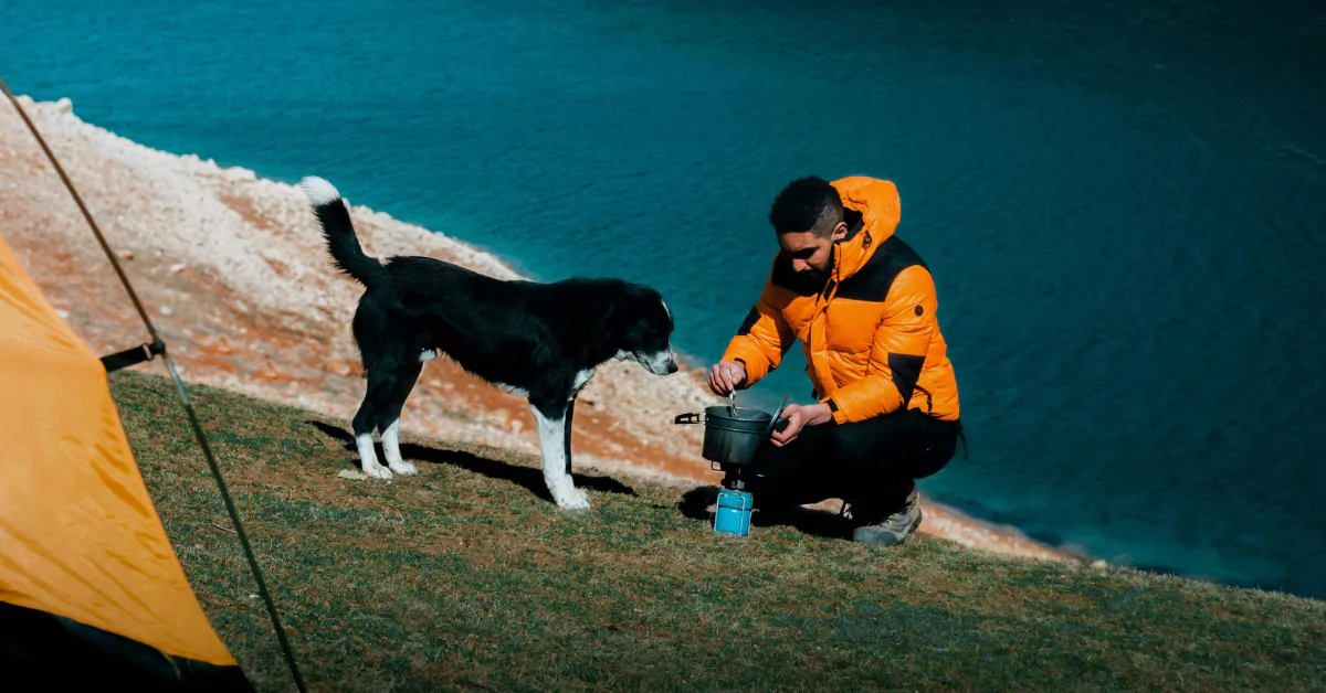 camping with dog